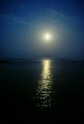 エギング釣行その13